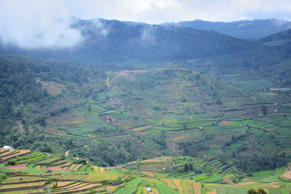 Read more about the article Princess of hill stations: Kodaikanal